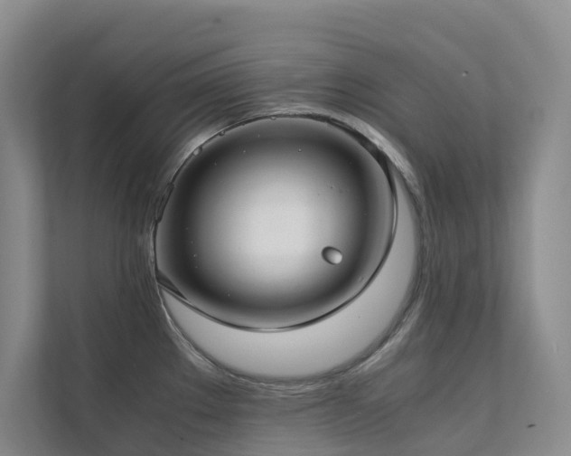 X0000111351289200907101202