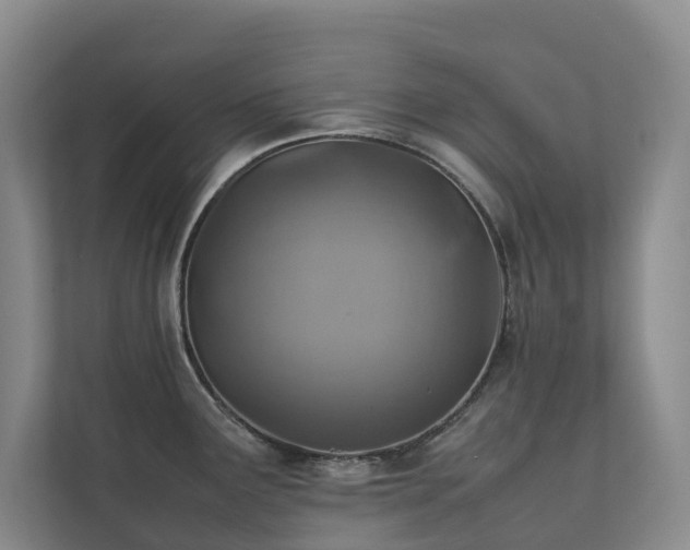 X0000111351291200907101202
