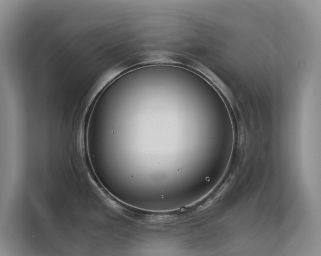X0000111351293200907101202