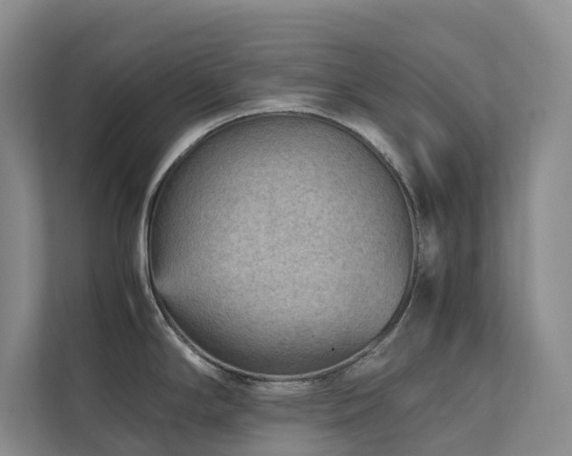 X0000111351294200907101202