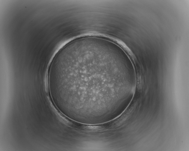 X0000111351295200907101202