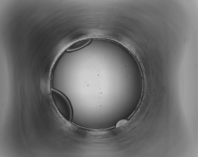 X0000111351296200907101202