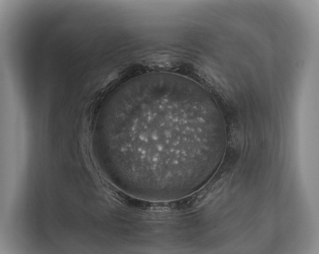 X0000111351297200907101201