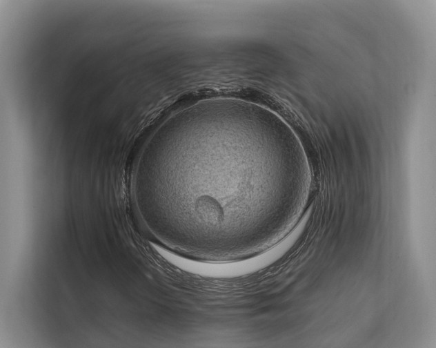 X0000111351298200907101201