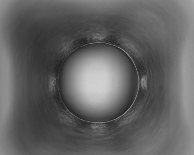 X0000111351299200907101201