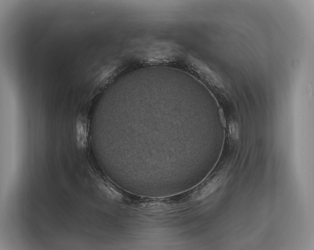 X0000111351300200907101201