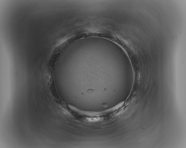 X0000111351303200907101201
