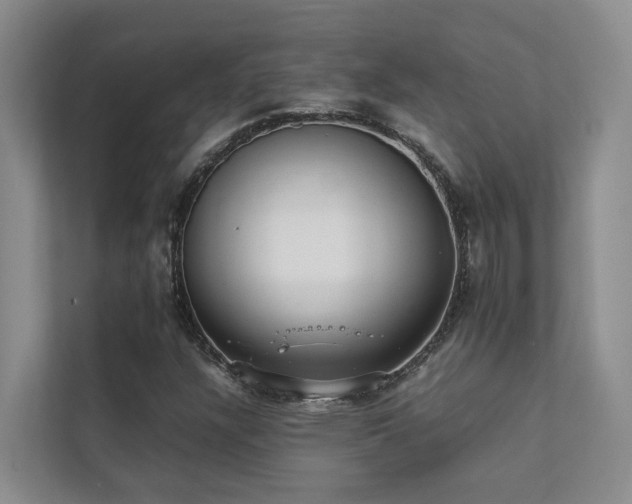 X0000111351304200907101201