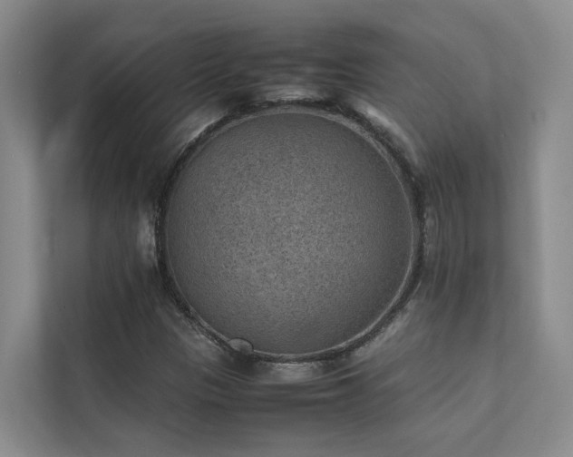 X0000111351305200907101201
