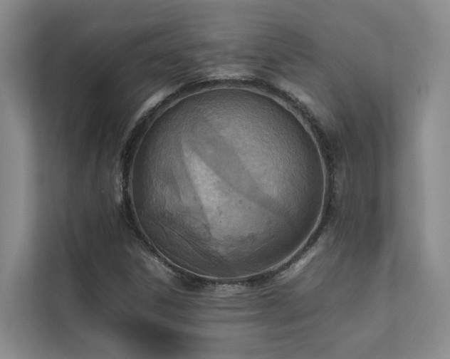 X0000111351306200907101201