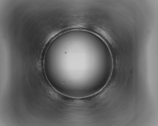 X0000111351308200907101201