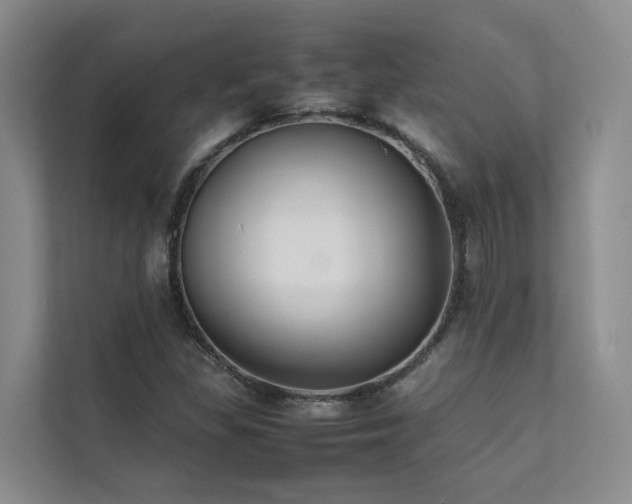 X0000111351309200907101201