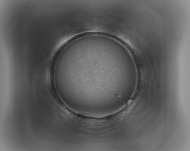 X0000111351311200907101201