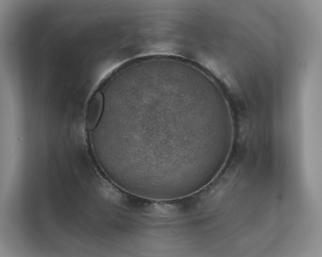 X0000111351312200907101201