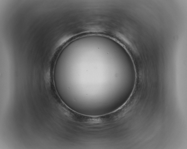 X0000111351315200907101201