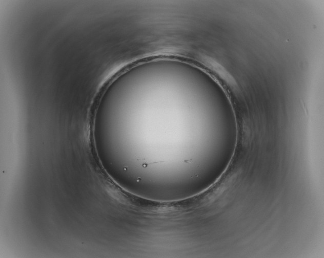X0000111351316200907101201