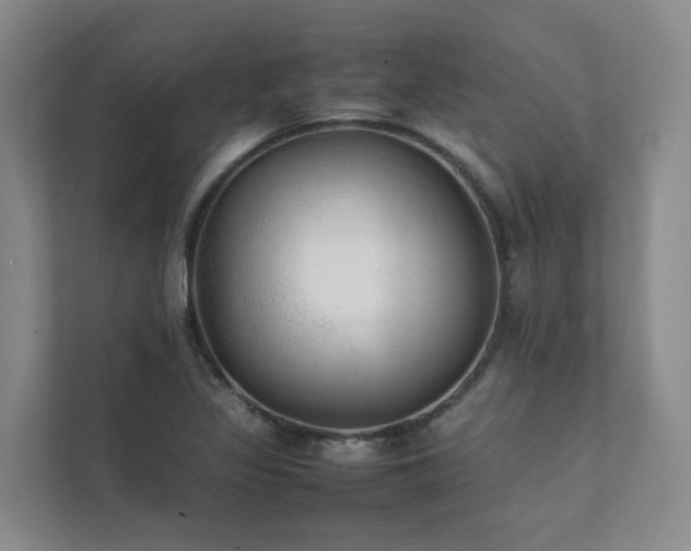 X0000111351317200907101201