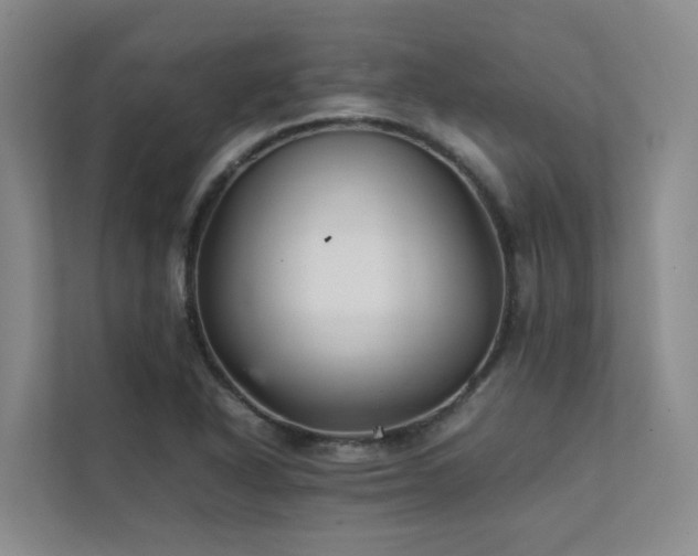 X0000111351318200907101201