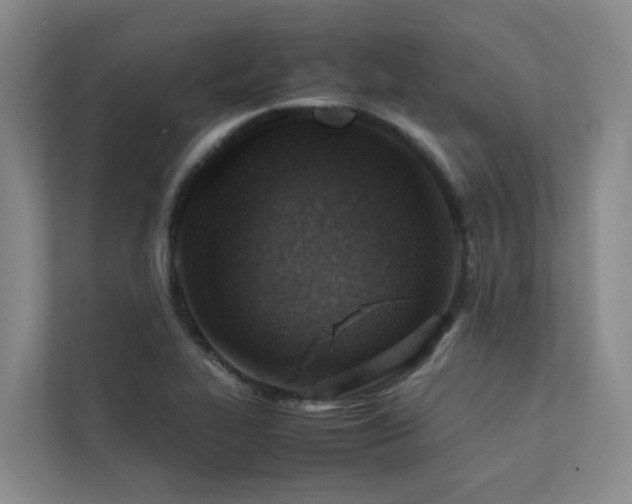 X0000111351319200907101201