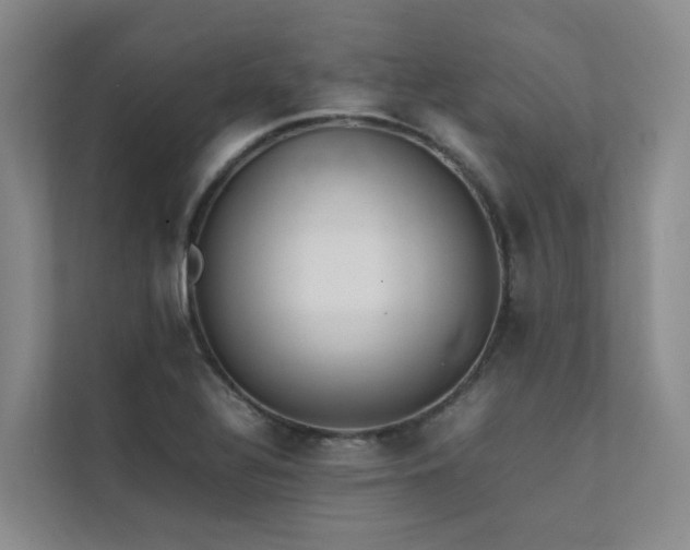 X0000111351320200907101201