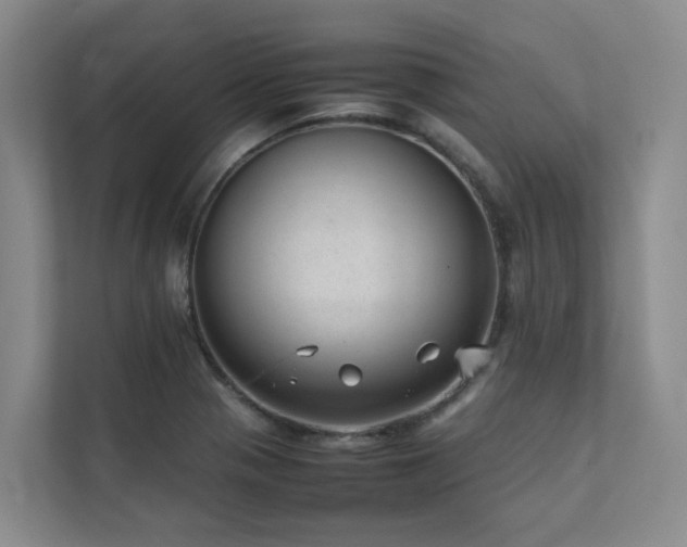 X0000111351321200907101201