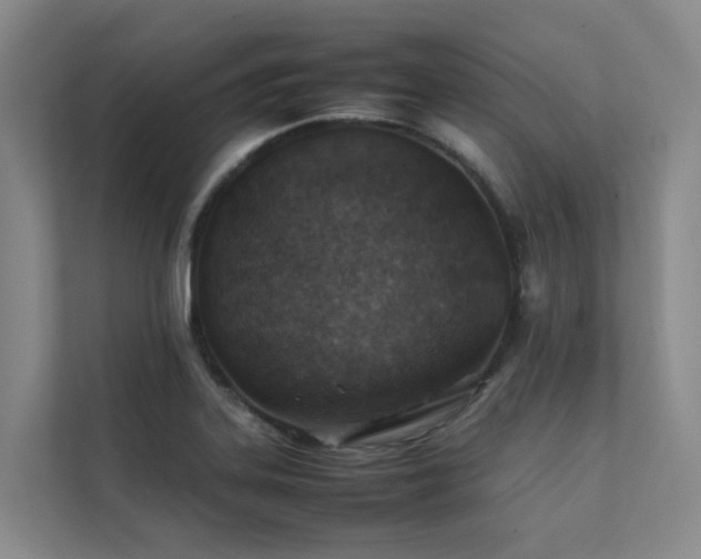 X0000111351323200907101202