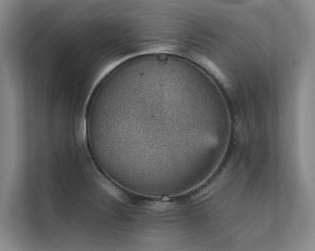 X0000111351324200907101202
