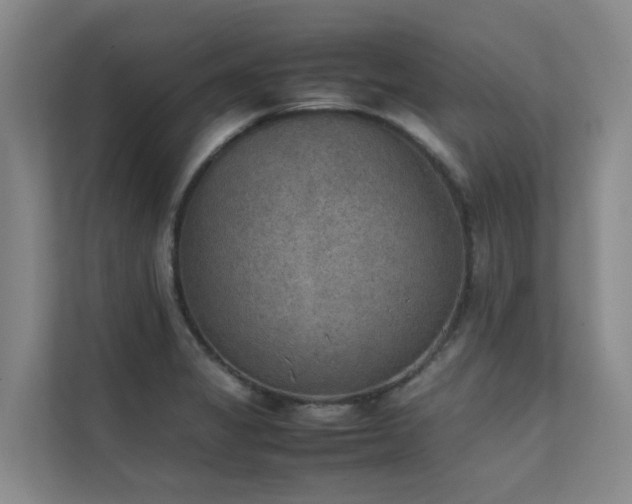 X0000111351325200907101202