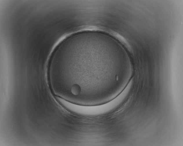 X0000111351326200907101202