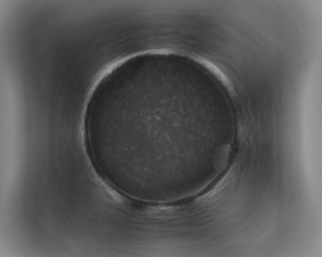 X0000111351327200907101202