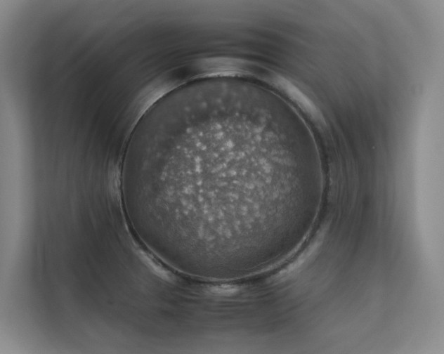 X0000111351329200907101202
