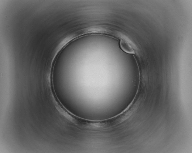 X0000111351330200907101202