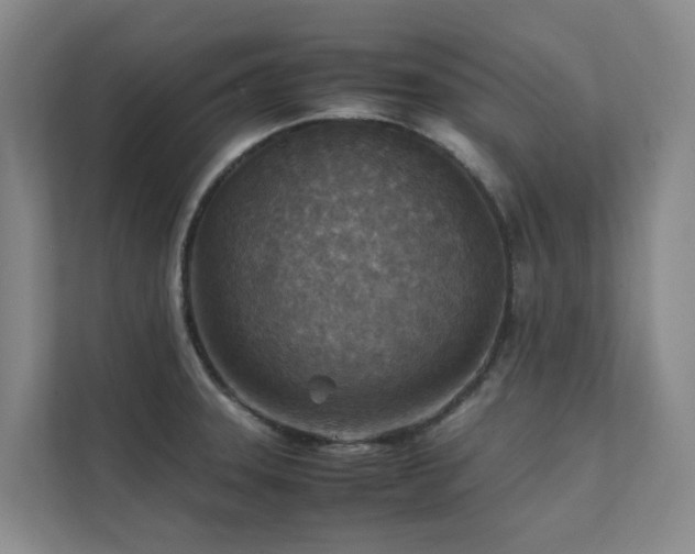 X0000111351331200907101202