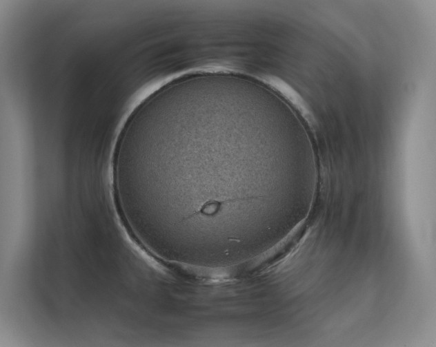 X0000111351335200907101202