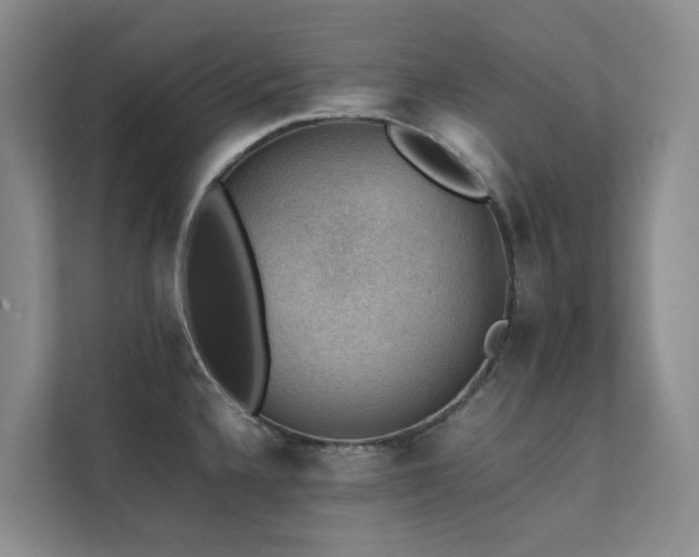X0000111351336200907101202
