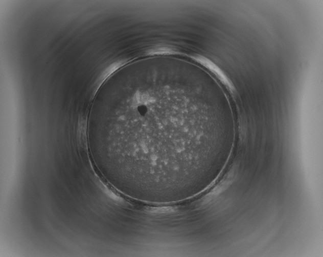 X0000111351337200907101202