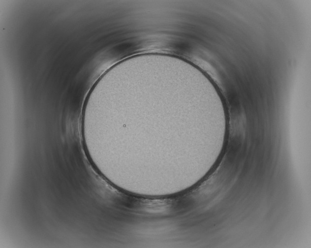 X0000111351338200907101202