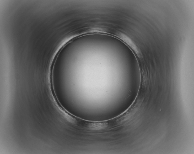 X0000111351339200907101202