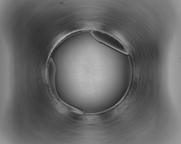 X0000111351340200907101202