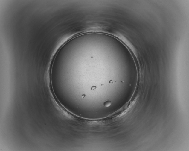 X0000111351341200907101202