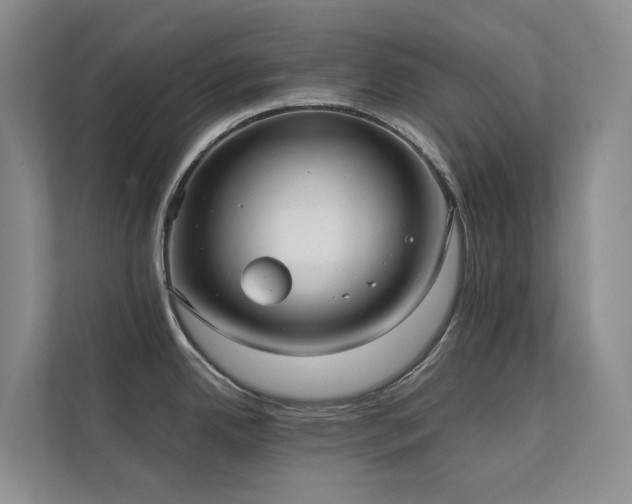 X0000111351342200907101202