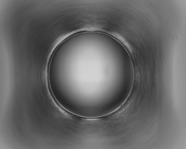 X0000111351343200907101202