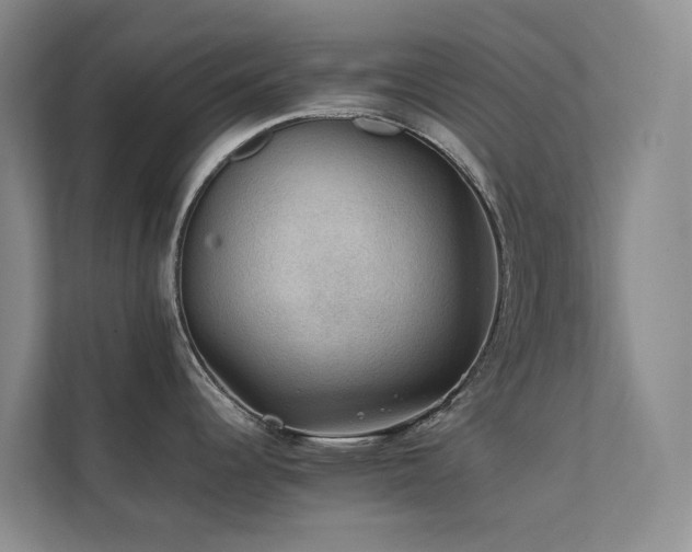 X0000111351344200907101202