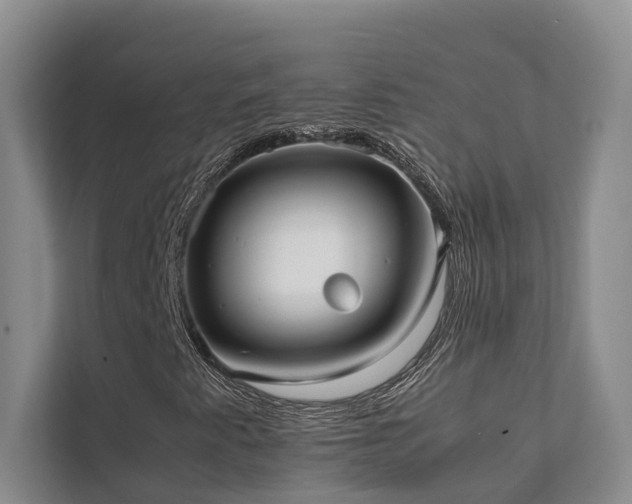 X0000111351345200907101201