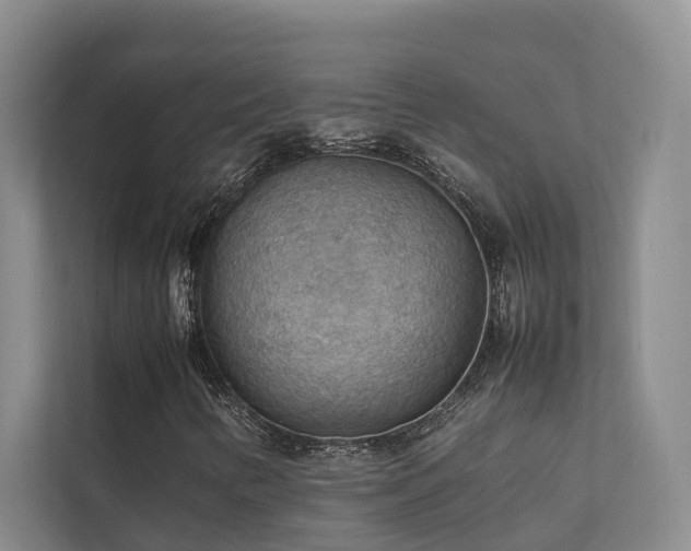 X0000111351346200907101201