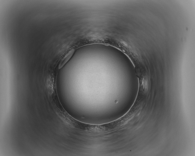 X0000111351348200907101201