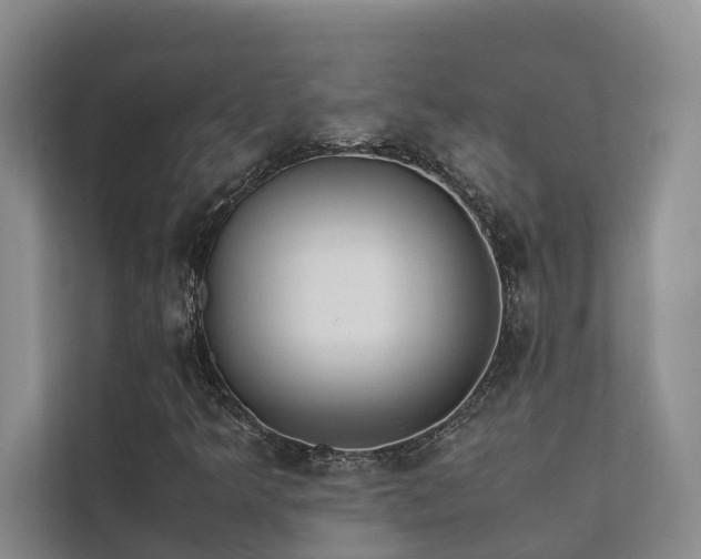 X0000111351349200907101201