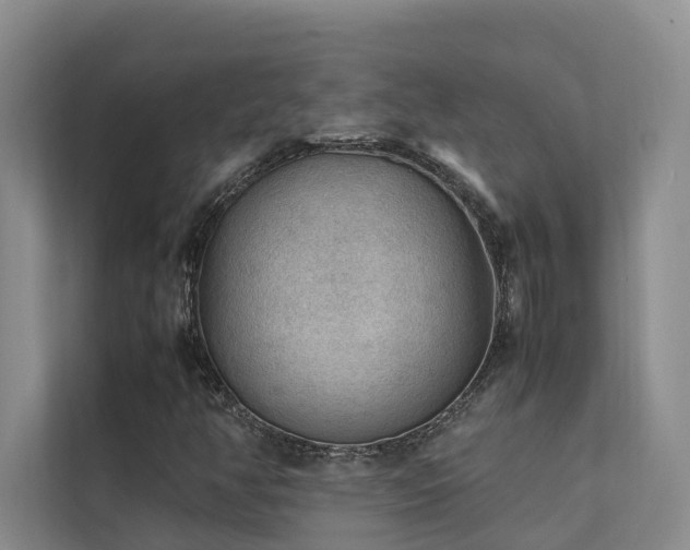 X0000111351350200907101201