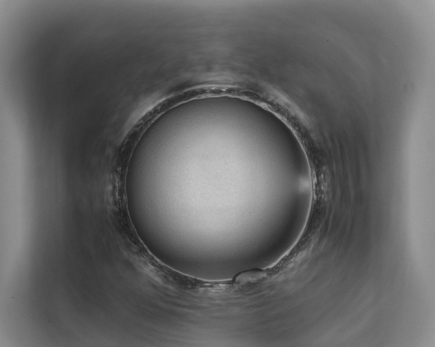X0000111351352200907101201