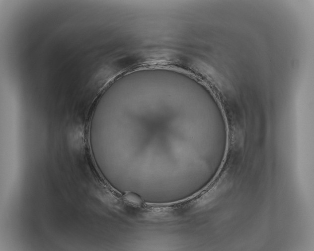 X0000111351353200907101201